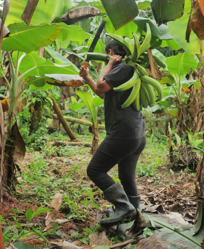 P1237280-kopia-700x854-1