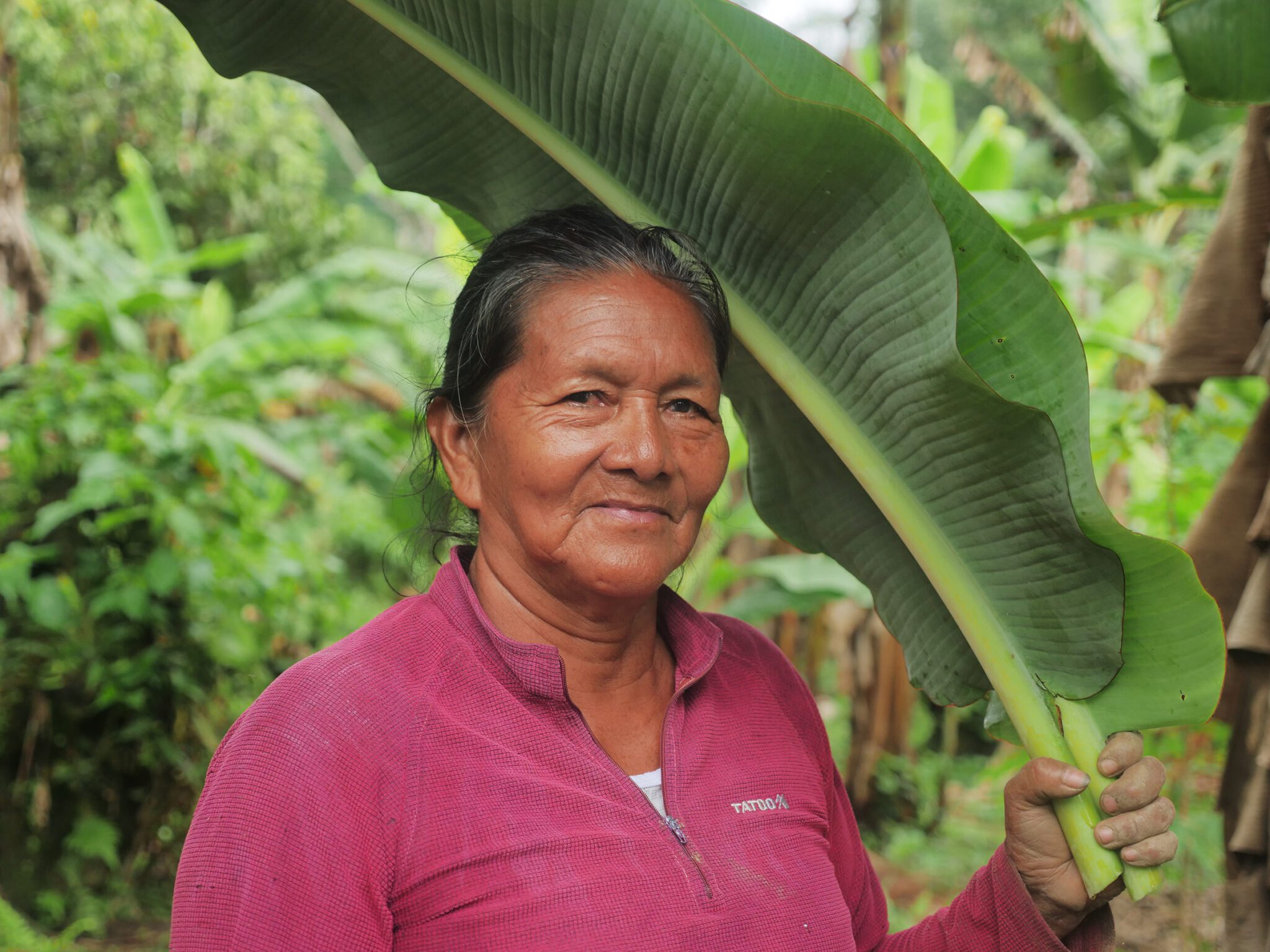 Building resilience and livelihood opportunities in Ecuador