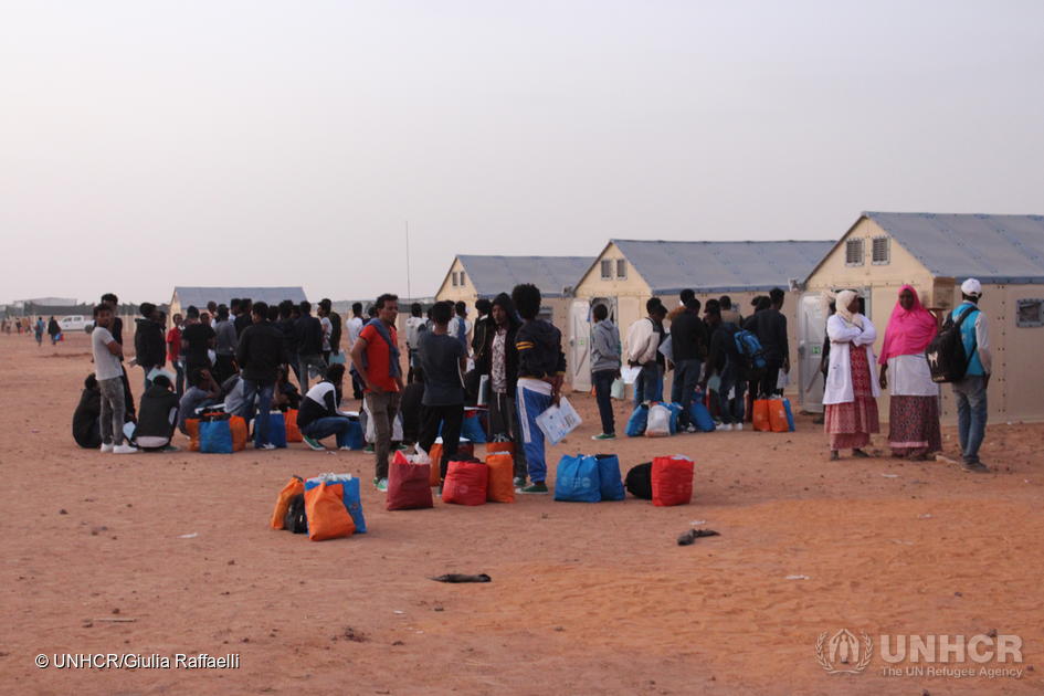 Responding to the emergency in the Diffa Region with transitional shelter
