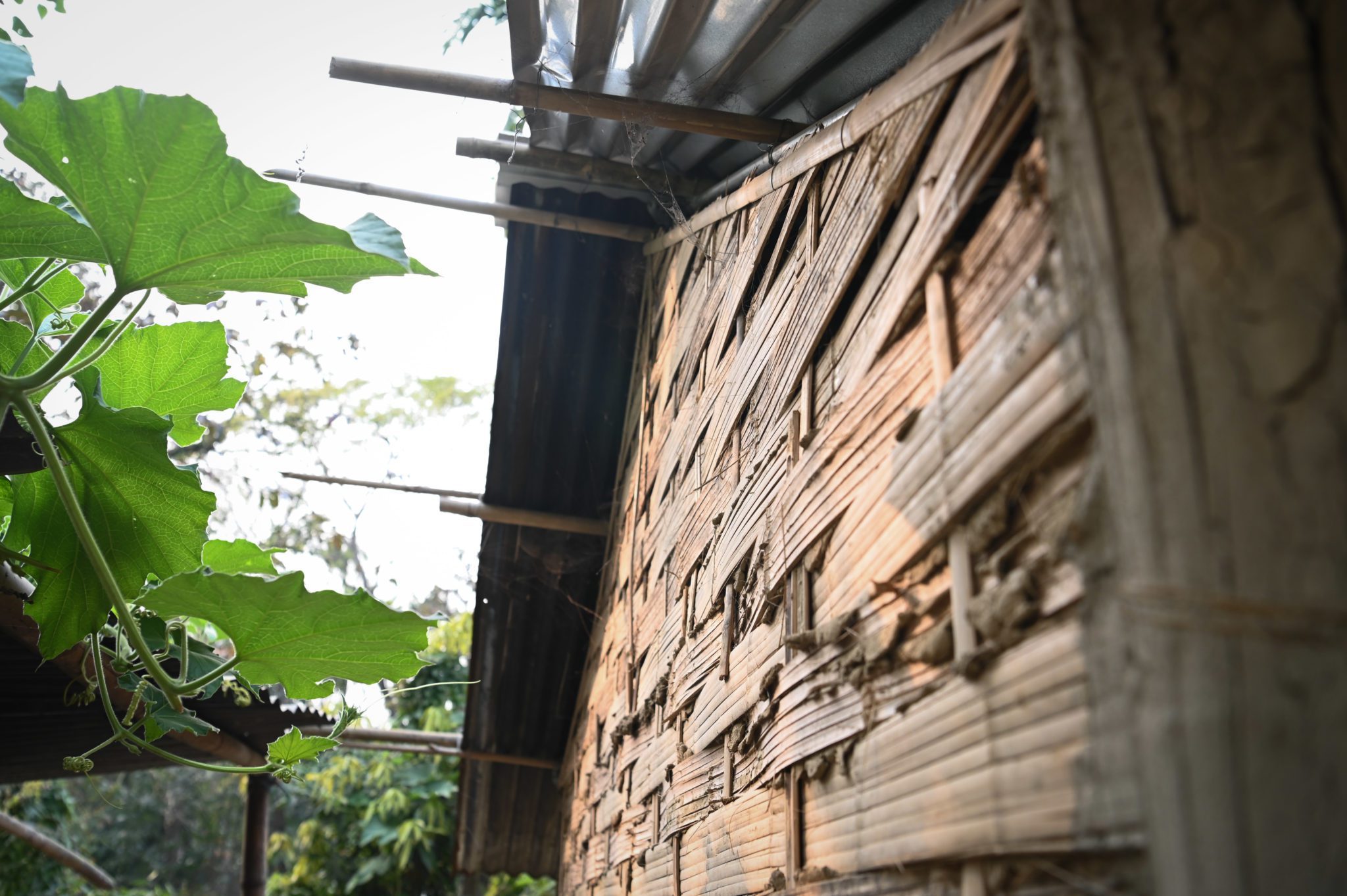 Better Shelter - Assam